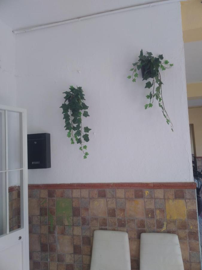 Precioso Apartamento Moderno Cerca Del Carrefour Rosaleda Málaga Eksteriør bilde